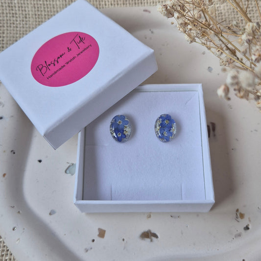 Oval forget-me-not stud earrings in branded gift box